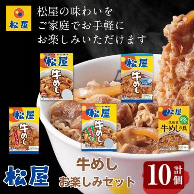 ふるさと納税 嵐山町 松屋牛めしの具5種10個 お楽しみセット