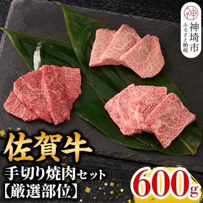 ふるさと納税 神埼市 [こだわりの手切り!]牧場直送 佐賀牛焼肉セット(厳選部位)(H106236)