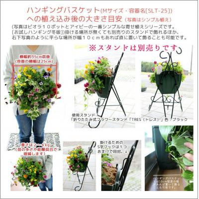 ふるさと納税 山口市  宿根草「ヒューケラの花うるるハンギング寄せ植え」Mサイズ C052 |  | 01