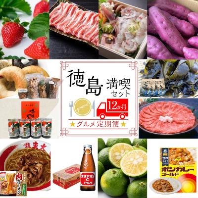 ふるさと納税 徳島市 【定期便 全12回】徳島満喫 グルメセット【ZZ001】 | 