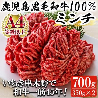 ふるさと納税 いちき串木野市 鹿児島県産黒毛和牛100%ミンチ(約350g×2パック・約700g)