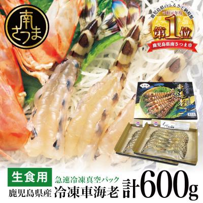 ふるさと納税 南さつま市 [鹿児島県産]活〆 冷凍車海老 計600g(生食)