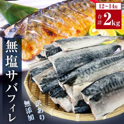 ふるさと納税 石巻市 さば &lt; 訳あり &gt; 無添加 無塩サバフィレ 2kg 冷凍 魚 青魚 鯖 不揃い 規格外
