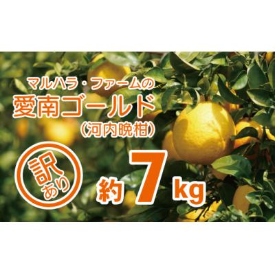 ふるさと納税 愛南町 [ 先行受付 ] マルハラファーム 訳あり 河内晩柑 7kg みかん かわちばんかん 愛南ゴールド