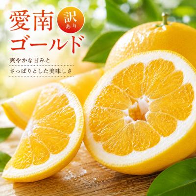 ふるさと納税 愛南町 [ 順次発送中] 訳あり 河内晩柑 10kg みかん 愛南ゴールド マルハラファーム