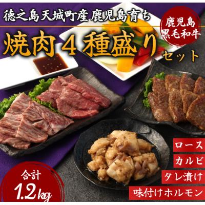 ふるさと納税 天城町 徳之島 天城町産 鹿児島育ち 鹿児島黒毛和牛焼肉セット(4種盛り) 合計1.2kg