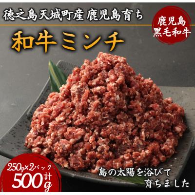 ふるさと納税 天城町 徳之島 天城町産 鹿児島育ち 鹿児島黒毛和牛ミンチ(500g)