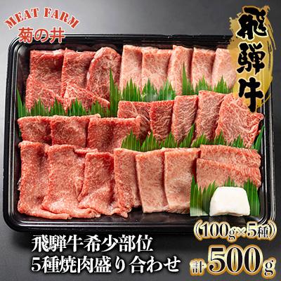 ふるさと納税 下呂市 [数量限定]飛騨牛 希少部位5種 焼肉盛り合わせ 各100g 計500g [70-45]