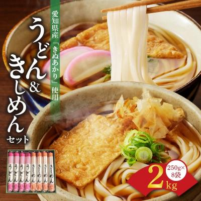 ふるさと納税 碧南市 愛知県産小麦100%「碧海の恵み」うどん&amp;きしめん 250g×8袋 乾麺 冬用ギフトH008-243