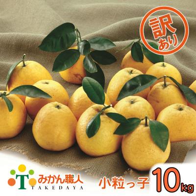 ふるさと納税 愛南町 [訳あり]みかん職人の河内晩柑 小粒っ子 10kg 先行受付 河内晩柑 柑橘 みかん職人武田屋