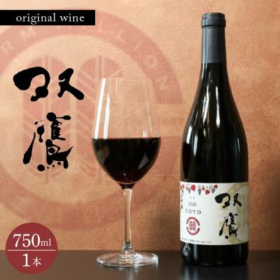 ふるさと納税 芽室町 芽室町 ファーム・ミリオンオリジナルワイン 双鷹(SOYO) 2020 山幸 me016-009c