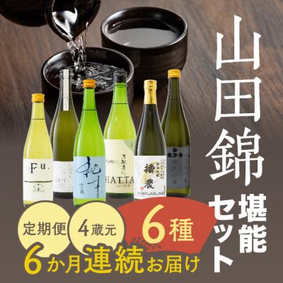 ふるさと納税 加西市 [山田錦堪能セット]定期便 4蔵元 6種 6か月連続お届け 純米吟醸 [No5698-1469]