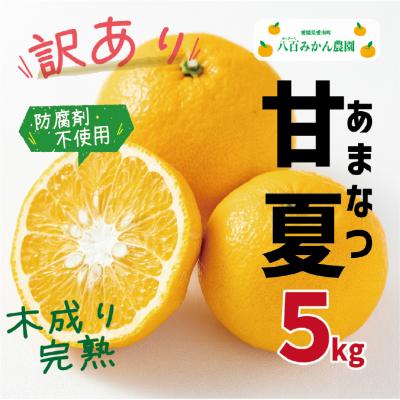 ふるさと納税 愛南町 [先行受付] 訳あり 完熟甘夏 5kg <発送期間:2027年月下旬〜> 八百みかん農園