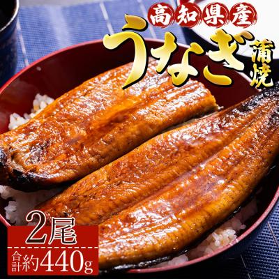 ふるさと納税 香南市 高知県産養殖うなぎ蒲焼き 2尾(合計約440g) ss-0043