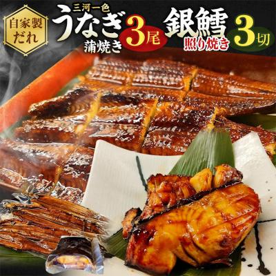 ふるさと納税 幸田町 三河一色産 うなぎ蒲焼き中3尾+銀たら照り焼き3切れ(1切れ60g以上)| 鰻 かば焼き 銀鱈 タラ