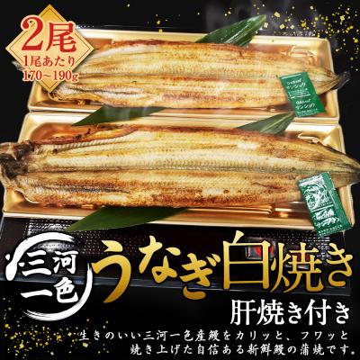 ふるさと納税 幸田町 三河一色うなぎ白焼き 大2尾 (肝焼き付き) うなぎ 白焼き