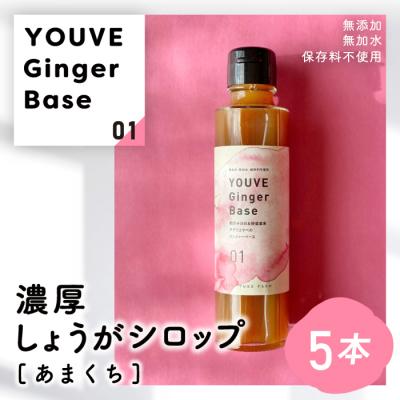 ふるさと納税 四万十市 生姜好きさんにオススメ!濃厚・しょうがシロップ5本セット[あまくち]25-963