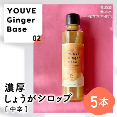 ふるさと納税 四万十市 生姜好きさんにオススメ!濃厚・しょうがシロップ5本セット[中辛]25-964