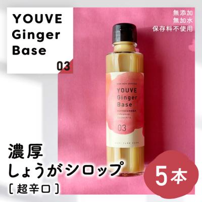 ふるさと納税 四万十市 生姜好きさんにオススメ!濃厚・しょうがシロップ5本セット[超辛口]25-965