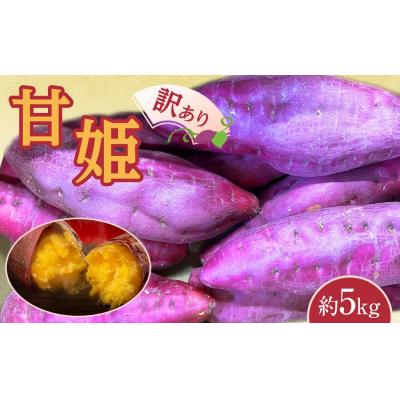 ふるさと納税 徳島市 訳あり なると金時「甘姫」 (約5Kg)ご自宅用[FL007]