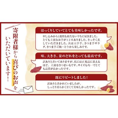 ふるさと納税 徳島市 訳あり なると金時「甘姫」 (約5kg)ご自宅用【FL007VC01】 |  | 01