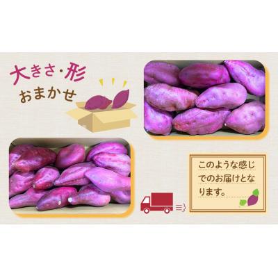 ふるさと納税 徳島市 訳あり なると金時「甘姫」 (約5kg)ご自宅用【FL007VC01】 |  | 02