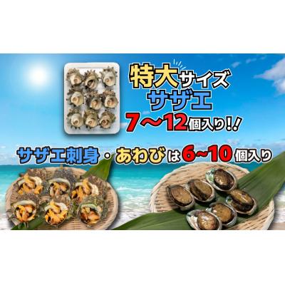 ふるさと納税 下関市 サザエ サザエ刺身 あわび セット 冷凍 スチーム加工 FK002_1 |  | 01