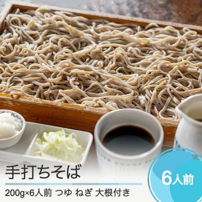 ふるさと納税 大石田町 手打ちそば 蕎麦 6人前 つゆ付き 生そば おそば美登利