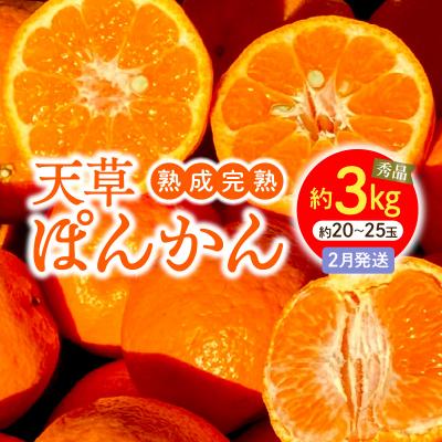 ふるさと納税 天草市 香りを食す!熟成完熟天草ぽんかん 2月発送 約3kg秀品〈先行受付〉_S117-004 | 