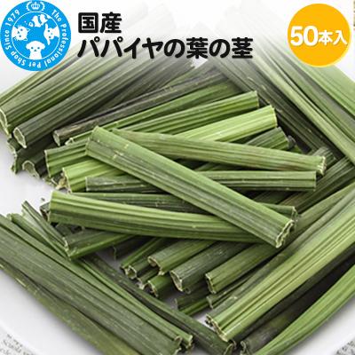 ふるさと納税 邑楽町 国産 パパイヤの葉の茎 50本入|09_chm-170101