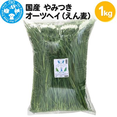 ふるさと納税 邑楽町 国産 やみつきオーツヘイ(えん麦)1kg|09_chm-180101