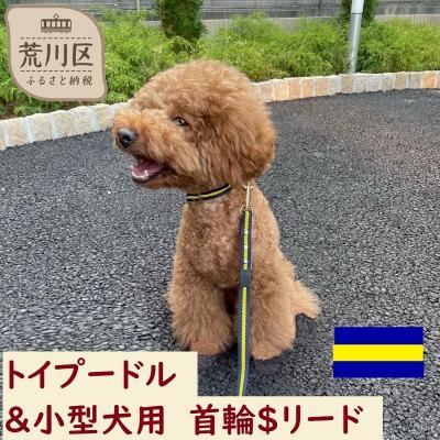 ふるさと納税 荒川区 トイプードル及び小型犬用カラー(首輪)&amp;リード(カラー:紺・黄・紺)[001-015]