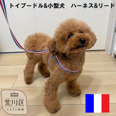 ふるさと納税 荒川区 トイプードル向けハーネス&amp;リード(カラー:青白赤)[001-018-1]