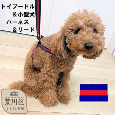 ふるさと納税 荒川区 トイプードル向けハーネス&amp;リード(カラー:紺赤紺)[001-018-2]