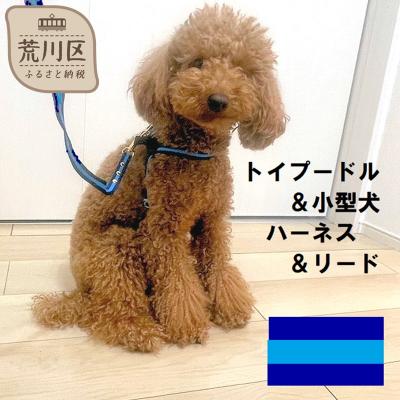 ふるさと納税 荒川区 トイプードル向けハーネス&amp;リード(カラー:紺青紺)[001-018-3]