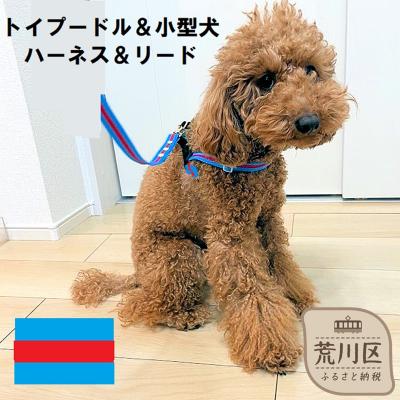 ふるさと納税 荒川区 トイプードル向けハーネス&amp;リード(カラー:青赤青)[001-018-6]