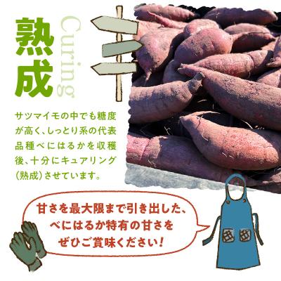 ふるさと納税 鹿児島市 サイズバラバラ熟成べにはるか(生芋)土付き 5kg　K270-001 |  | 01