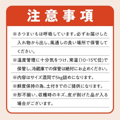 ふるさと納税 鹿児島市 サイズバラバラ熟成べにはるか(生芋)土付き 5kg　K270-001 |  | 02