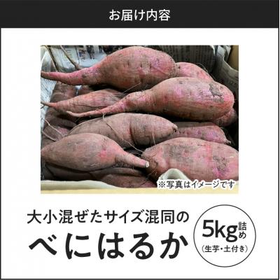 ふるさと納税 鹿児島市 サイズバラバラ熟成べにはるか(生芋)土付き 5kg　K270-001 |  | 03