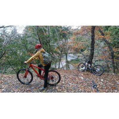 ふるさと納税 飯能市 レンタルサイクル 2名様1日利用サービス券