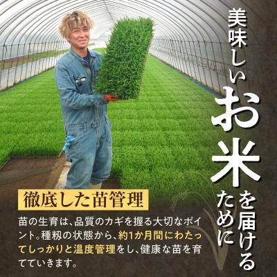 ふるさと納税 雨竜町 定期便 北海道産 ななつぼし 精米 定期便 5kg 4回 特A 雨竜町 お米 米 厳選 人気_1