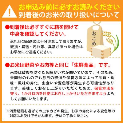 ふるさと納税 河北町 【令和8年産米】2026年10月下旬発送 特別栽培米 つや姫 10kg 山形県産【米COMEかほく】 |  | 02