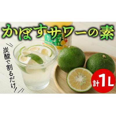 ふるさと納税 臼杵市 炭酸で割るだけ! おいしさが弾けるかぼすサワーの素(計1L)