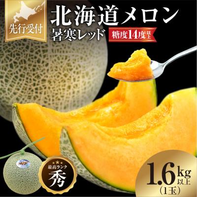 ふるさと納税 雨竜町 [令和8年産先行受付]北海道メロン 暑寒レッド 1玉 (1.6kg以上) 2026年9月発送