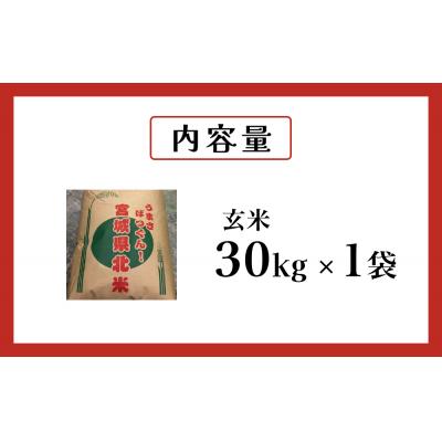 ふるさと納税 石巻市 米 つや姫 令和7年産 玄米 30kg 宮城県産 石巻市 こめ コメ お米 ツヤ姫 ご飯の画像