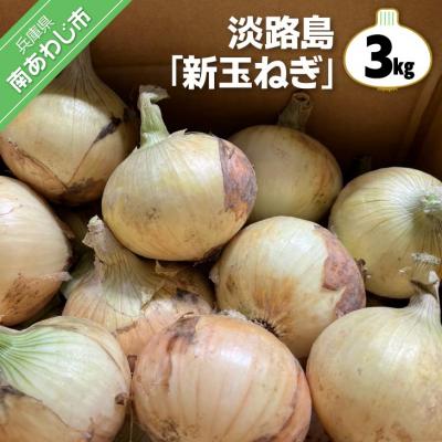 ふるさと納税 南あわじ市 淡路島 「新玉ねぎ」3キロ なくなり次第終了!
