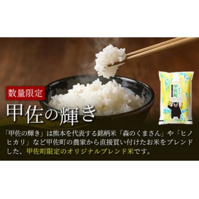 ふるさと納税 甲佐町 令和7年産『甲佐の輝き』無洗米10kg【配送指定可