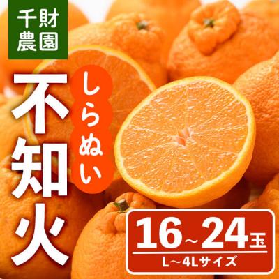 ふるさと納税 宇佐市 千財農園 不知火 L~4L(16玉〜24玉) しらぬい[109000301][千財農園]