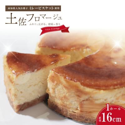ふるさと納税 四万十市 土佐フロマージュ[ホールケーキ16cm]