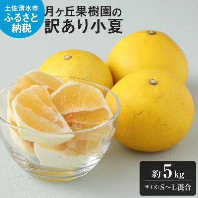 ふるさと納税 土佐清水市 [先行受付]R8年4月発送 月ヶ丘果樹園の訳あり小夏5kg 家庭用 日向夏[R00177]
